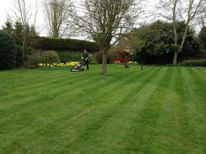 Mowing Lawns in St Ives with Ed's Garden Maintenance